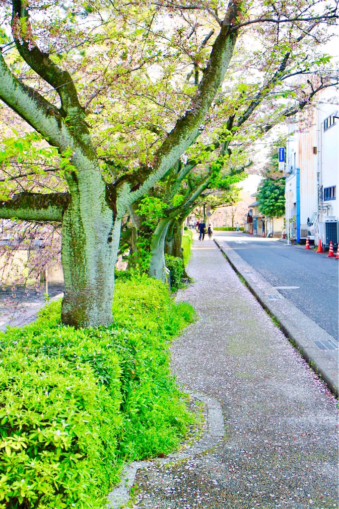 f:id:nichinichisou0808:20200105004334j:plain f:id:nichinichisou0808:20200105004334j:plain