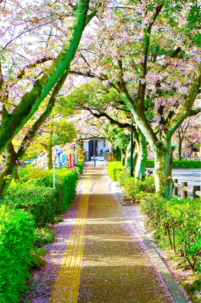 f:id:nichinichisou0808:20200105004350j:plain f:id:nichinichisou0808:20200105004350j:plain