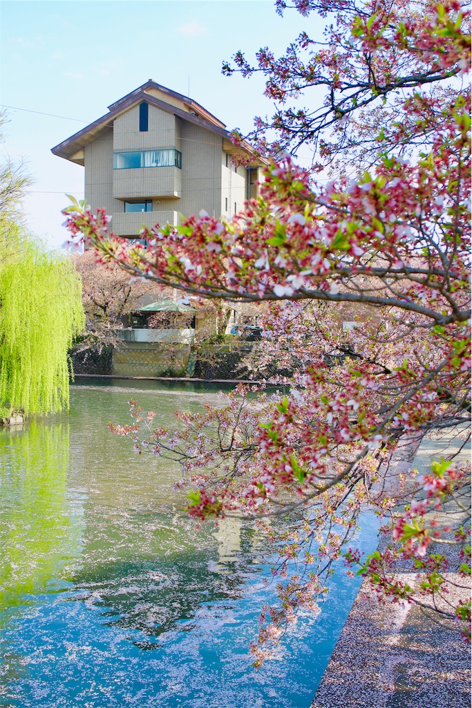 f:id:nichinichisou0808:20200105004355j:plain f:id:nichinichisou0808:20200105004355j:plain