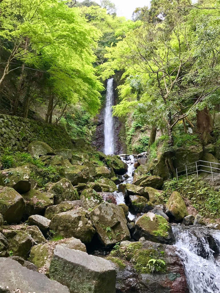 f:id:nichinichisou0808:20200108011208j:image f:id:nichinichisou0808:20200108011208j:image