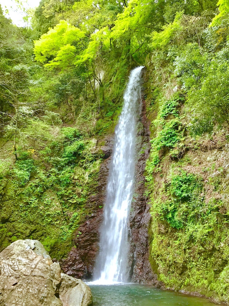 f:id:nichinichisou0808:20200108011211j:image f:id:nichinichisou0808:20200108011211j:image