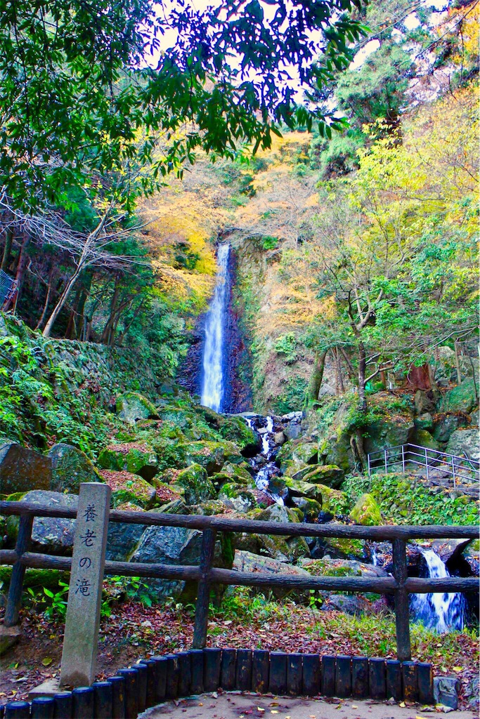 f:id:nichinichisou0808:20200108012234j:image f:id:nichinichisou0808:20200108012234j:image