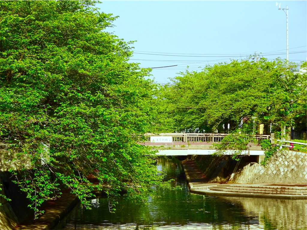 f:id:nichinichisou0808:20200108041004j:plain f:id:nichinichisou0808:20200108041004j:plain