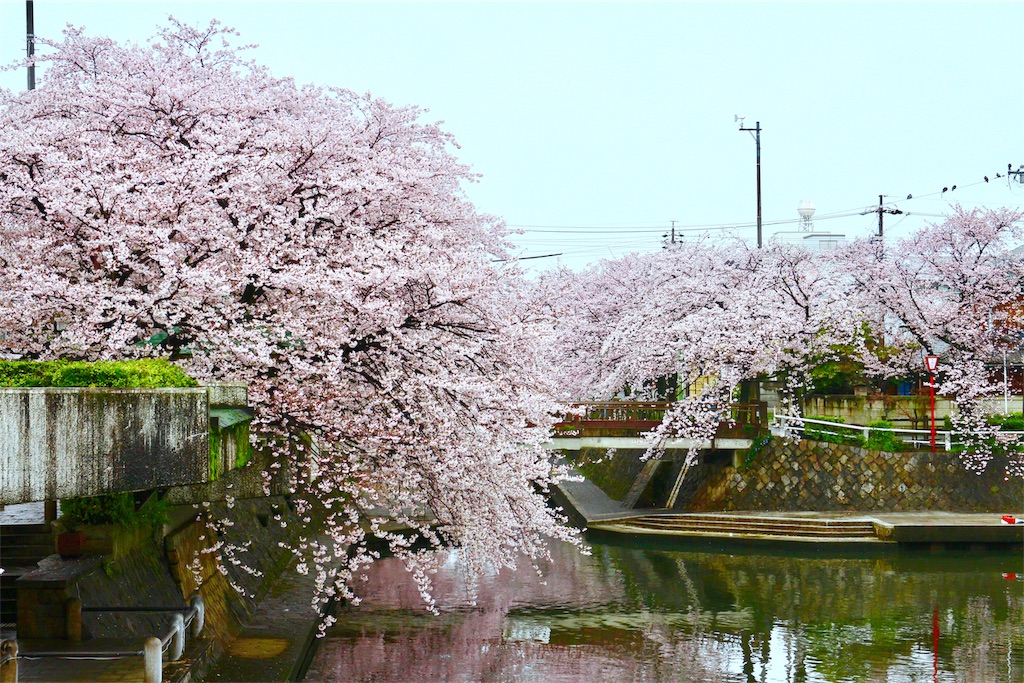 f:id:nichinichisou0808:20200108041014j:plain f:id:nichinichisou0808:20200108041014j:plain