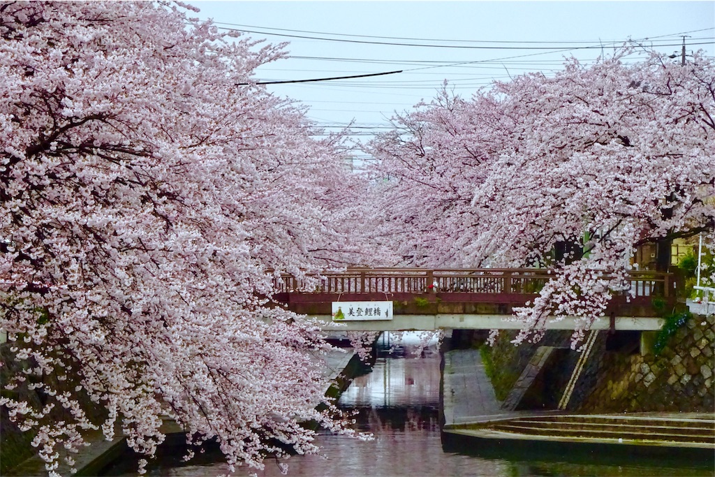f:id:nichinichisou0808:20200108041049j:plain f:id:nichinichisou0808:20200108041049j:plain