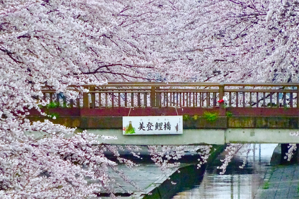 f:id:nichinichisou0808:20200108041113j:plain f:id:nichinichisou0808:20200108041113j:plain