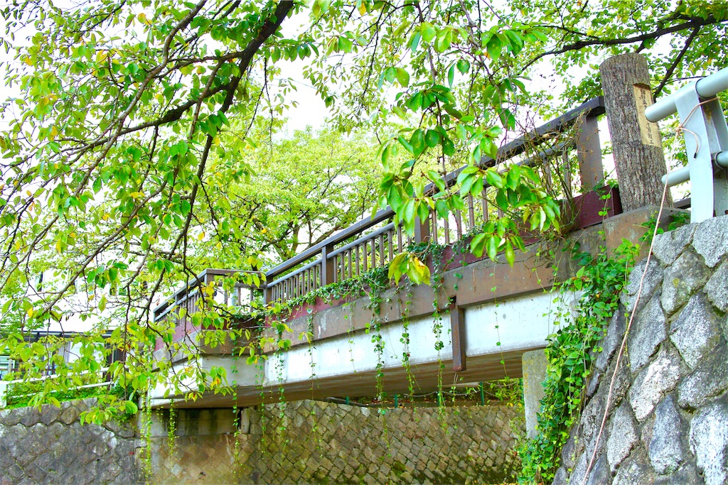 f:id:nichinichisou0808:20200108210915j:plain f:id:nichinichisou0808:20200108210915j:plain