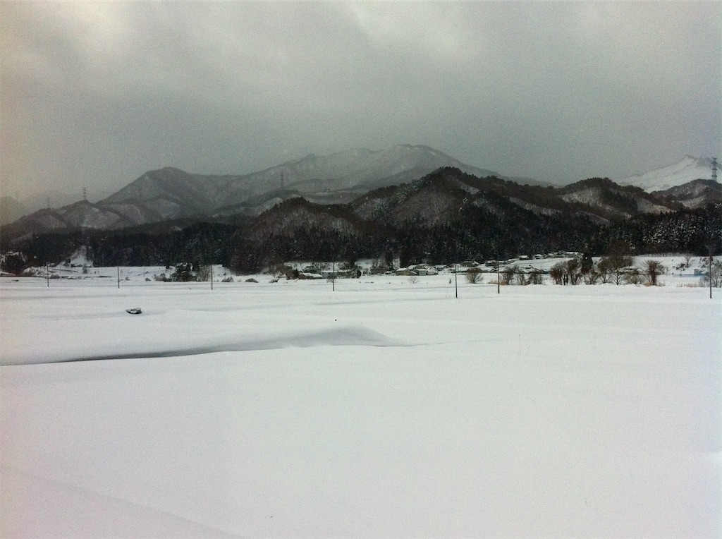 f:id:nichinichisou0808:20200301030906j:image f:id:nichinichisou0808:20200301030906j:image