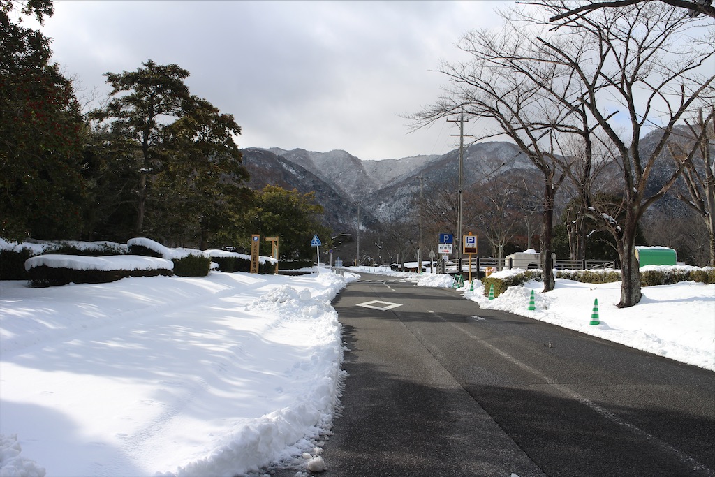 f:id:nichinichisou0808:20200301043125j:plain f:id:nichinichisou0808:20200301043125j:plain