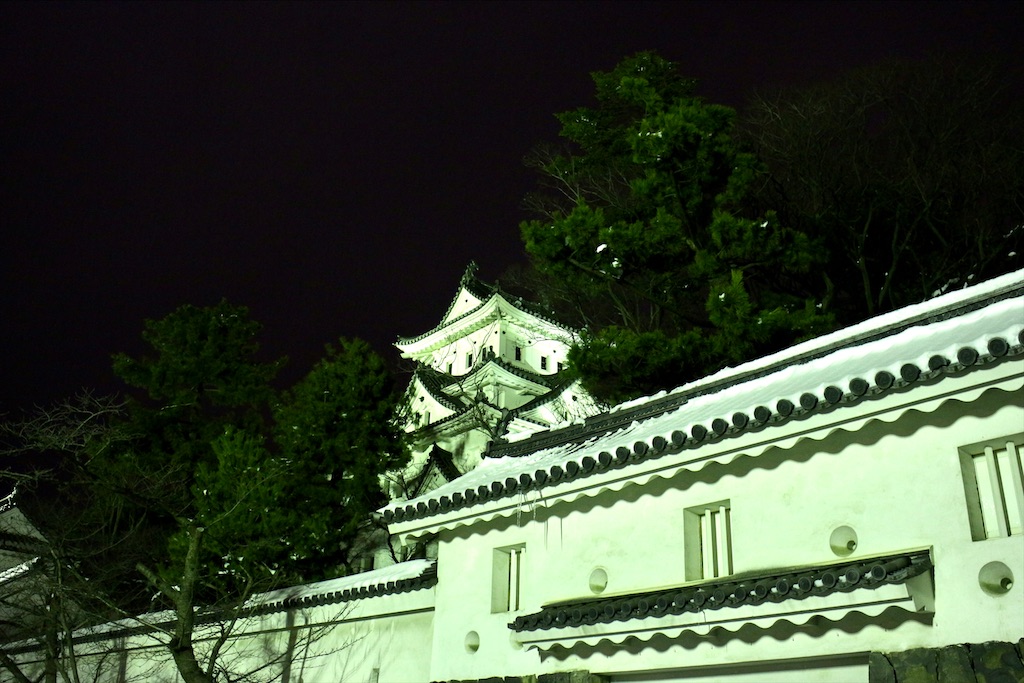 f:id:nichinichisou0808:20200301043128j:plain f:id:nichinichisou0808:20200301043128j:plain