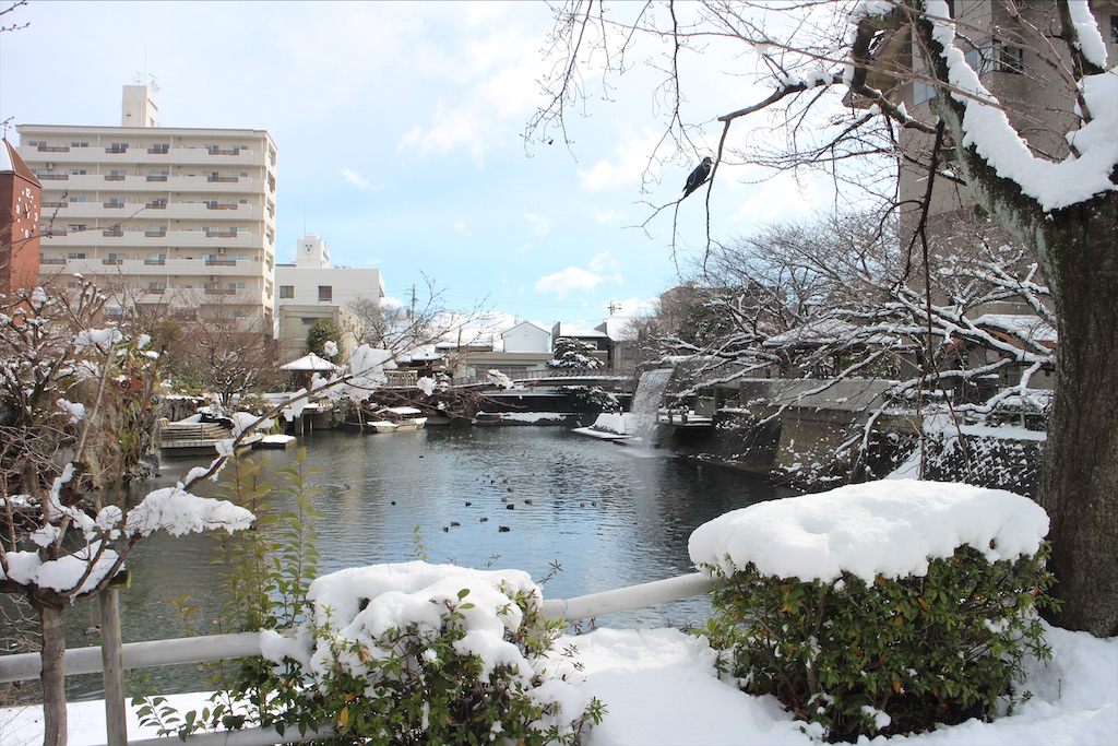 f:id:nichinichisou0808:20200302013140j:image f:id:nichinichisou0808:20200302013140j:image