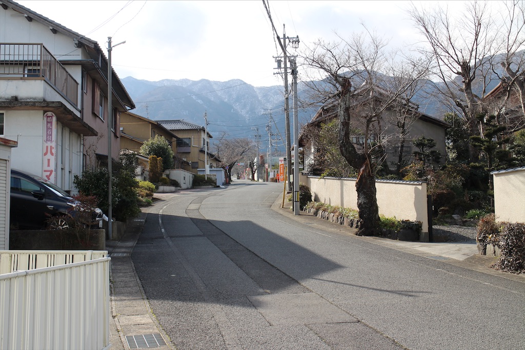f:id:nichinichisou0808:20200331022013j:plain f:id:nichinichisou0808:20200331022013j:plain