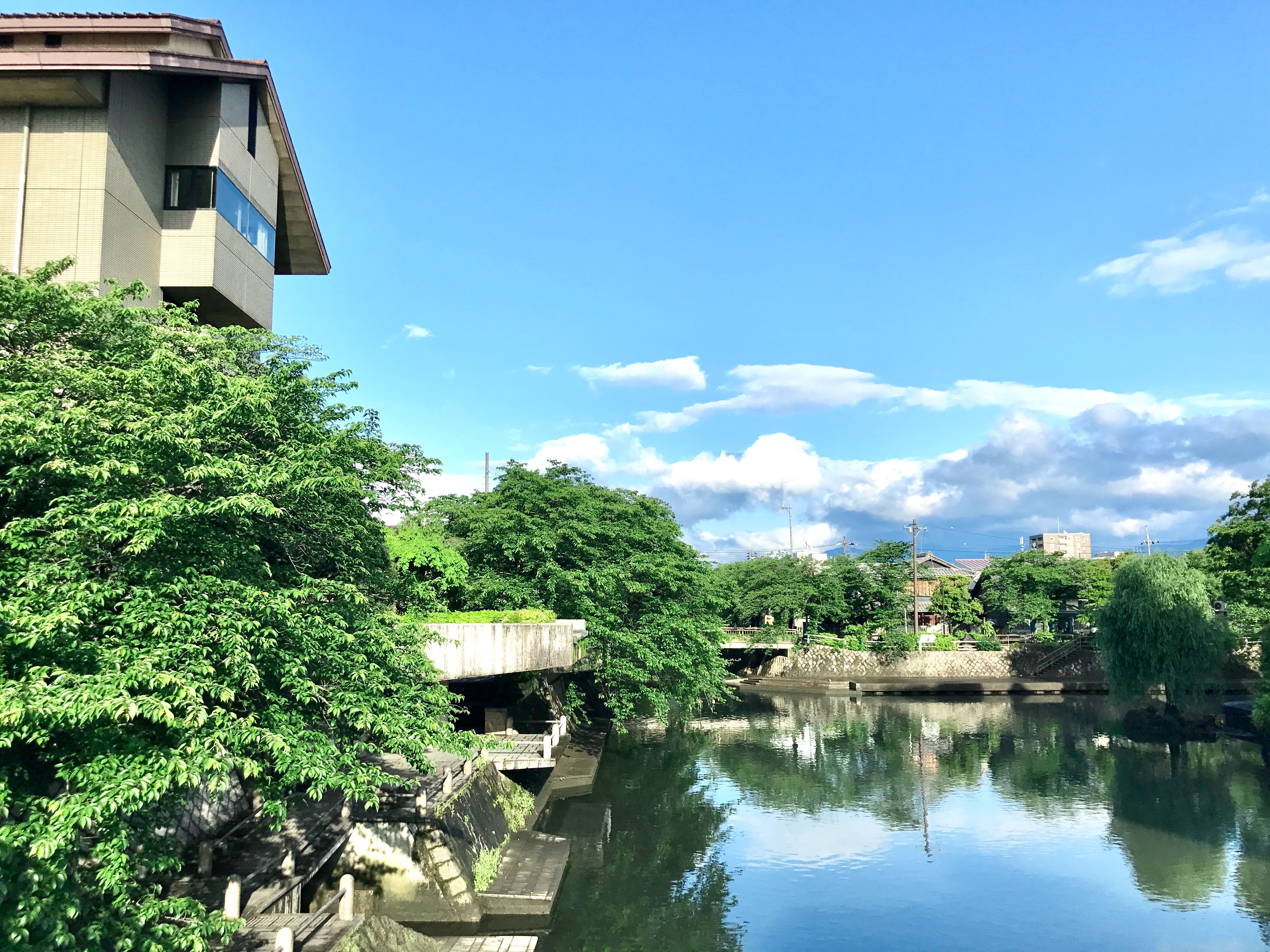 f:id:nichinichisou0808:20200512195222j:plain f:id:nichinichisou0808:20200512195222j:plain