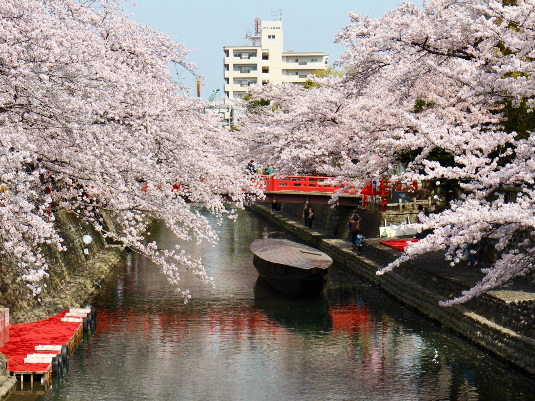 f:id:nichinichisou0808:20200512202726j:plain f:id:nichinichisou0808:20200512202726j:plain