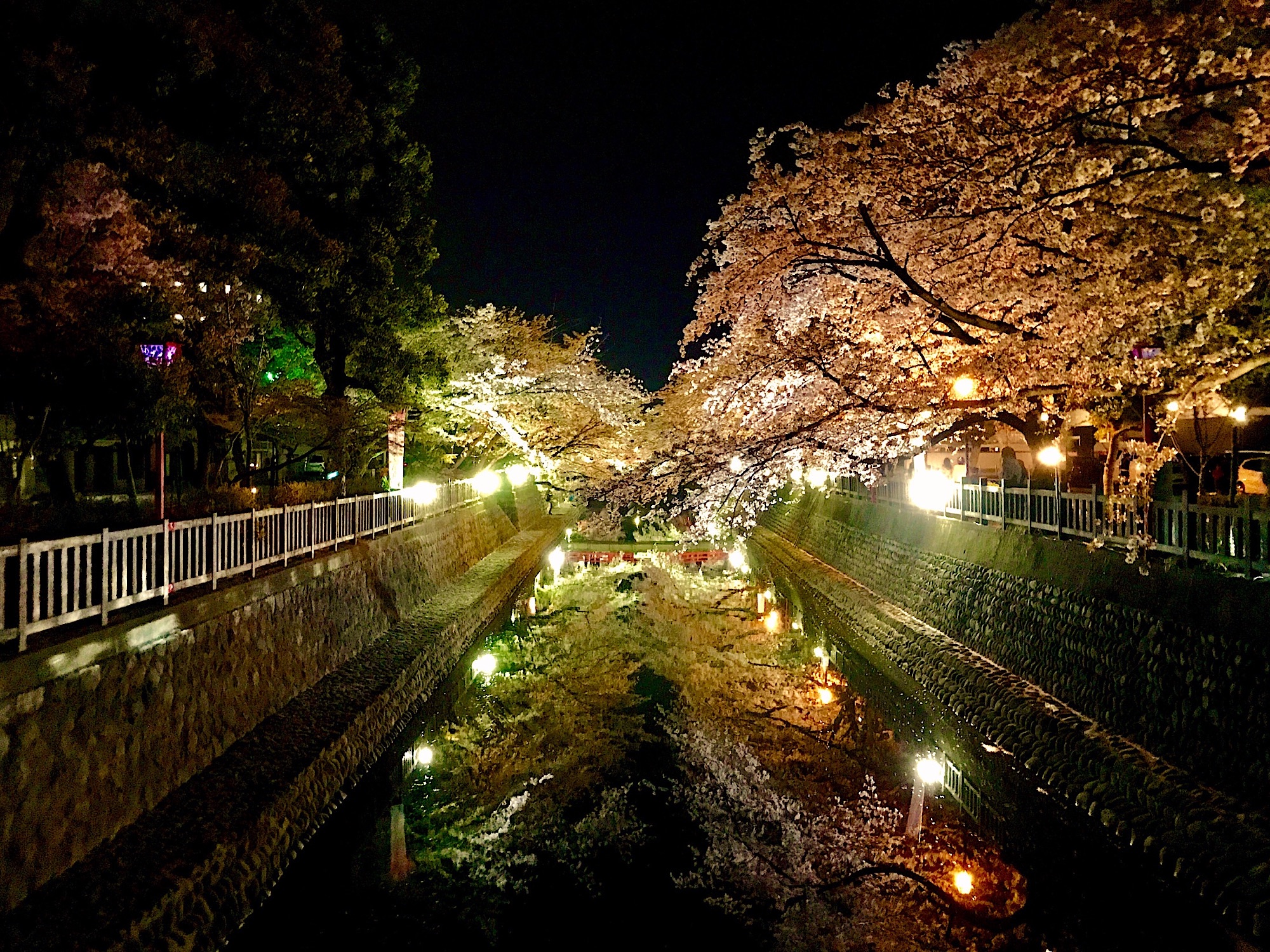 f:id:nichinichisou0808:20200512202743j:plain f:id:nichinichisou0808:20200512202743j:plain