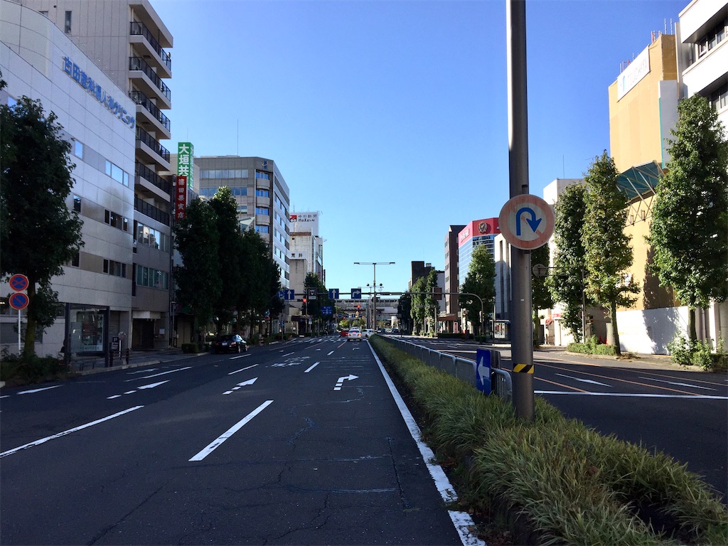 f:id:nichinichisou0808:20200520040935j:image f:id:nichinichisou0808:20200520040935j:image