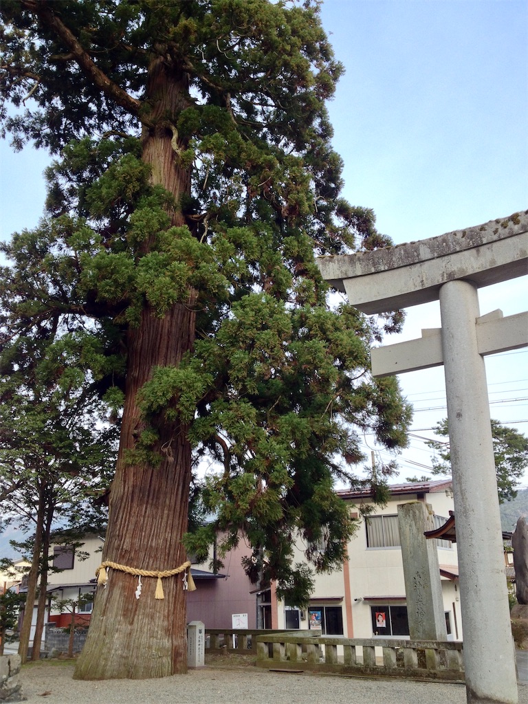 f:id:nichinichisou0808:20200520060901j:image f:id:nichinichisou0808:20200520060901j:image