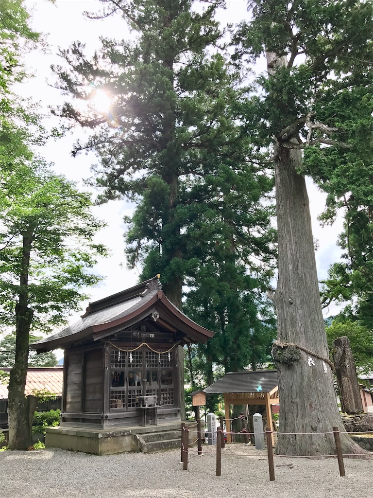 f:id:nichinichisou0808:20200520060907j:image f:id:nichinichisou0808:20200520060907j:image