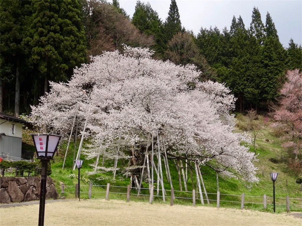 f:id:nichinichisou0808:20200521004712j:image f:id:nichinichisou0808:20200521004712j:image