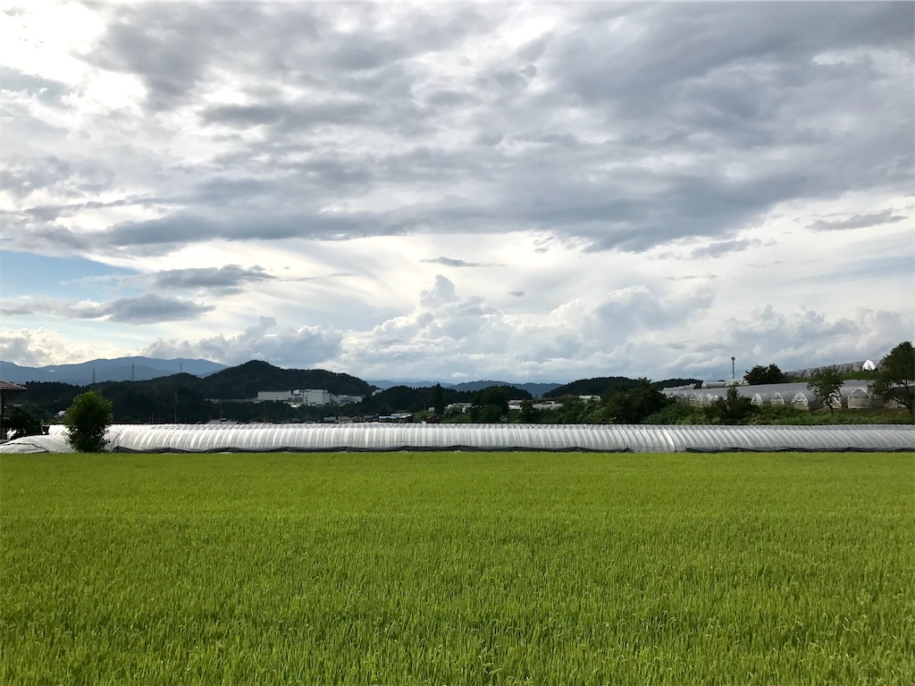 f:id:nichinichisou0808:20200521045514j:image f:id:nichinichisou0808:20200521045514j:image