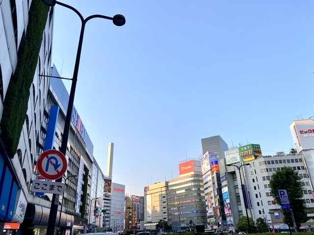 f:id:nichinichisou0808:20200603211551j:plain f:id:nichinichisou0808:20200603211551j:plain