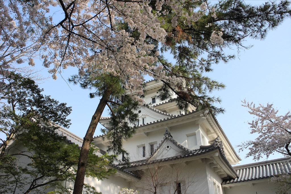 f:id:nichinichisou0808:20200612073836j:image f:id:nichinichisou0808:20200612073836j:image