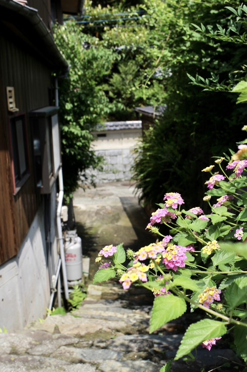 f:id:nichinichisou0808:20200623091202j:plain f:id:nichinichisou0808:20200623091202j:plain
