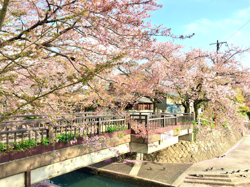 f:id:nichinichisou0808:20200713013721j:plain