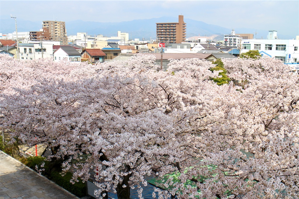 f:id:nichinichisou0808:20200720083705j:plain f:id:nichinichisou0808:20200720083705j:plain