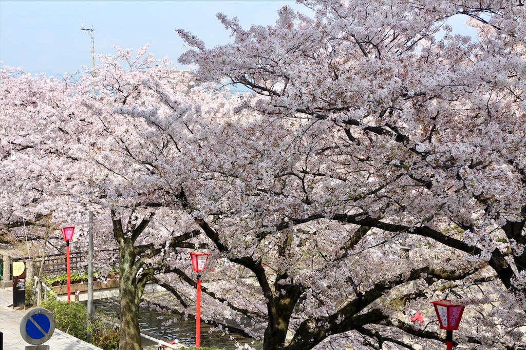 f:id:nichinichisou0808:20200720091927j:plain f:id:nichinichisou0808:20200720091927j:plain