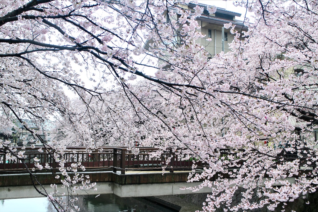 f:id:nichinichisou0808:20200720100429j:plain f:id:nichinichisou0808:20200720100429j:plain