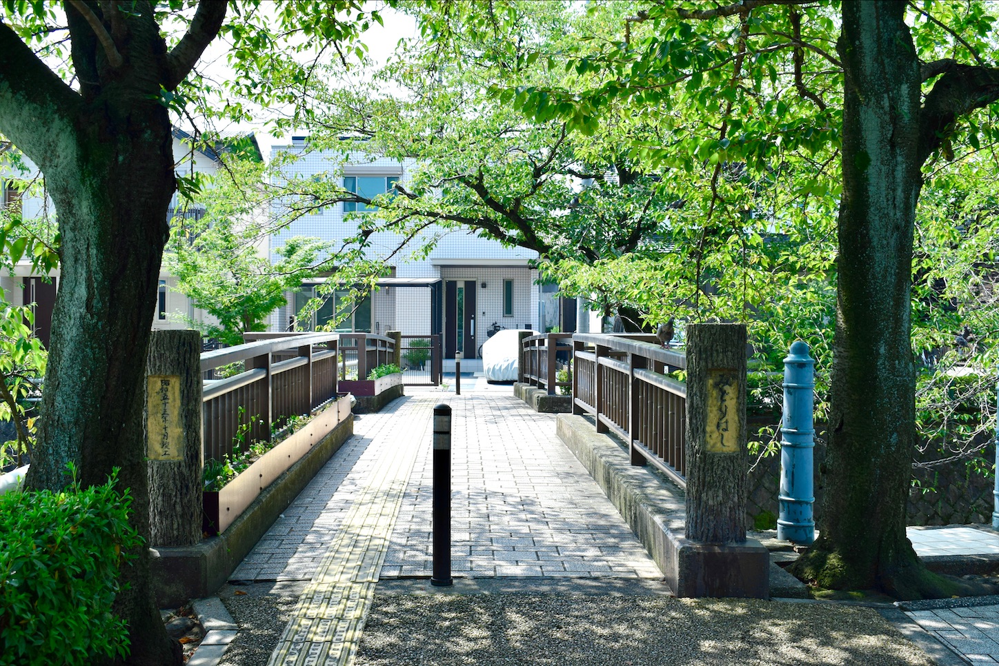 f:id:nichinichisou0808:20201017033141j:image f:id:nichinichisou0808:20201017033141j:image