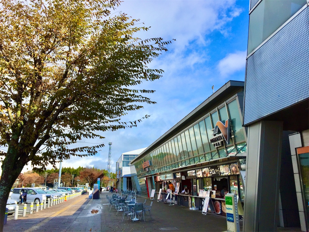 f:id:nichinichisou0808:20210322184257j:plain