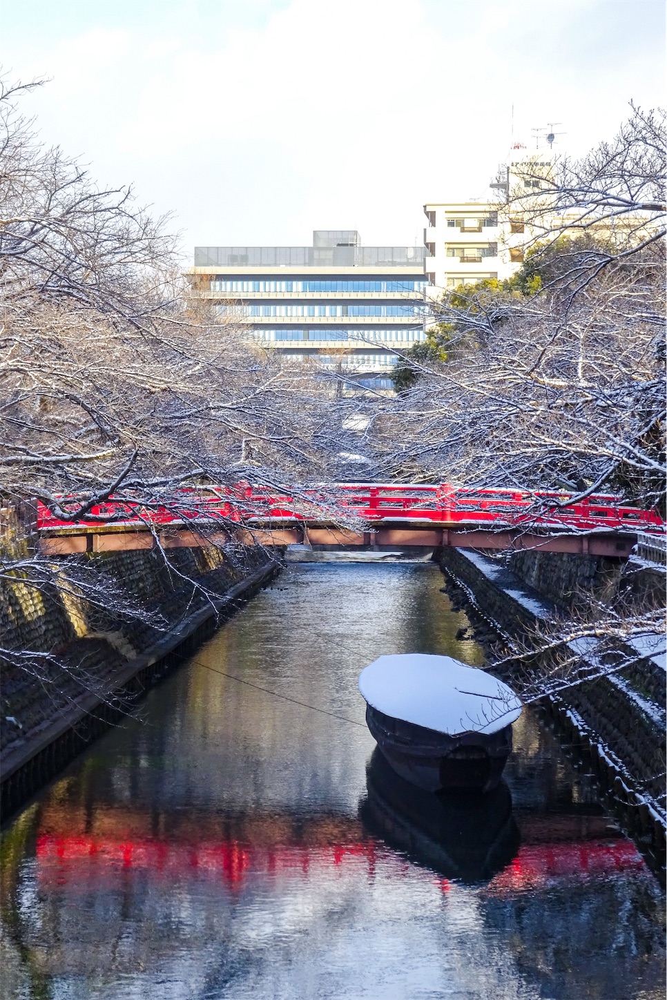 f:id:nichinichisou0808:20220101155506j:image f:id:nichinichisou0808:20220101155506j:image