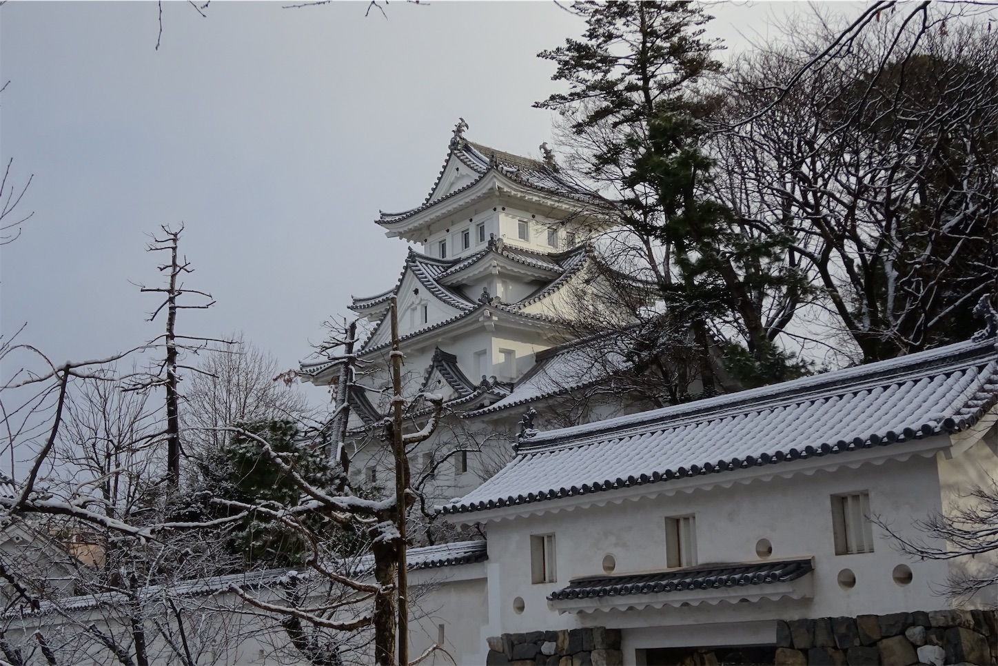f:id:nichinichisou0808:20220101155515j:image f:id:nichinichisou0808:20220101155515j:image