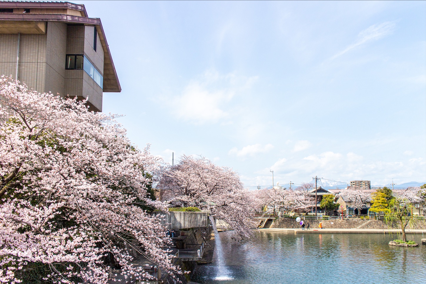 f:id:nichinichisou0808:20220401081848j:plain