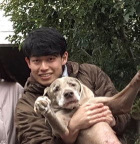 f:id:nichiriku:20190204163141j:plain