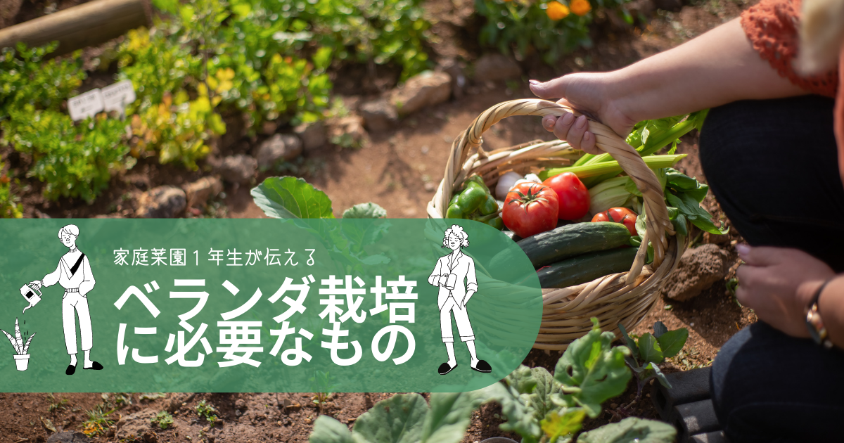 家庭菜園１年生 経験なしの初心者が ベランダで野菜を育てるために必要なことは ニコレイトの畑