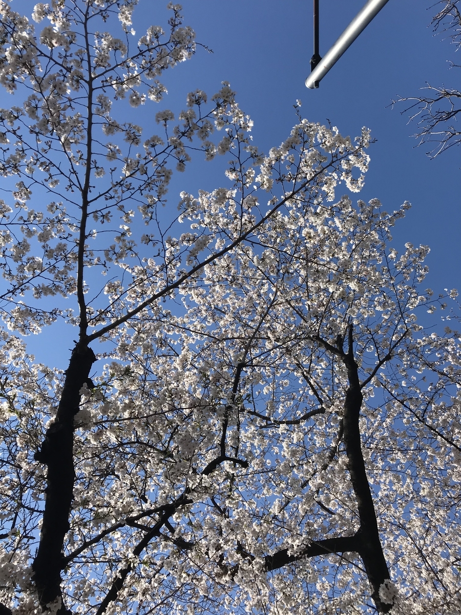 f:id:nicky-akira:20190413073650j:plain f:id:nicky-akira:20190413073650j:plain