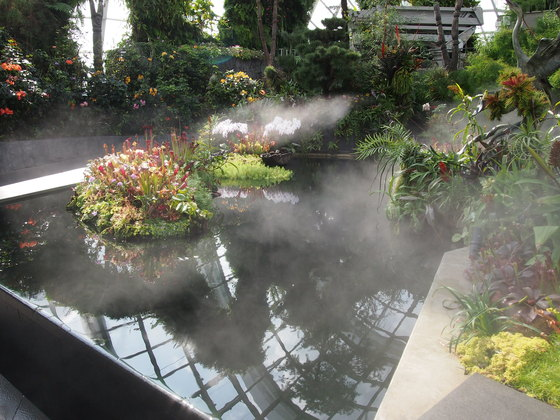 f:id:nicky-akira:20190416183058p:plain