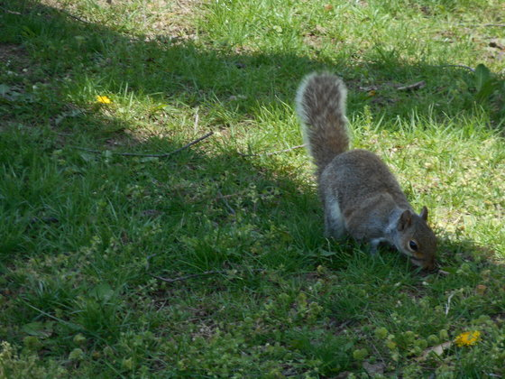 f:id:nicky-akira:20190427172451p:plain