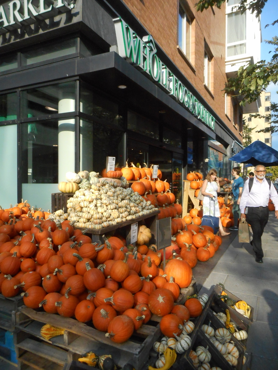 f:id:nicky-akira:20190921153602j:plain f:id:nicky-akira:20190921153602j:plain