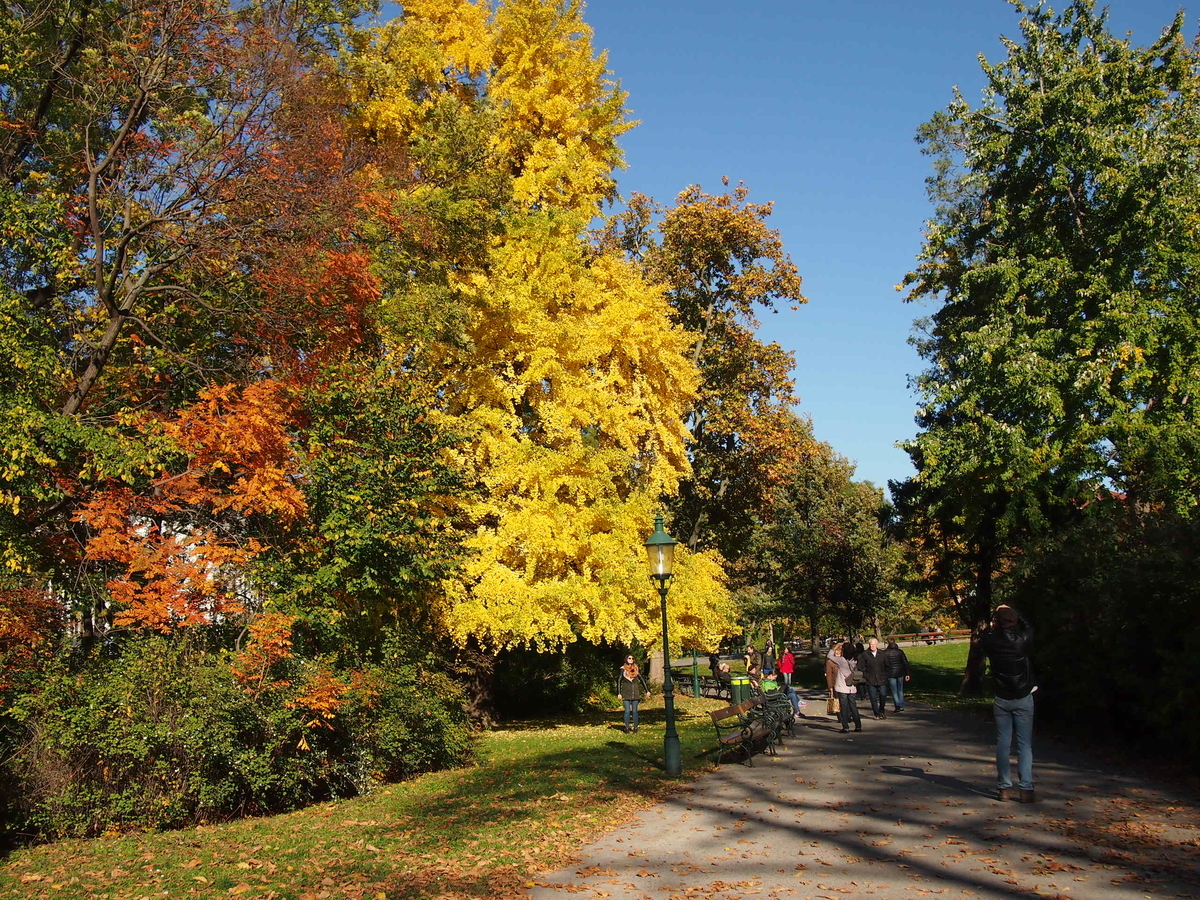 f:id:nicky-akira:20191113202212j:plain