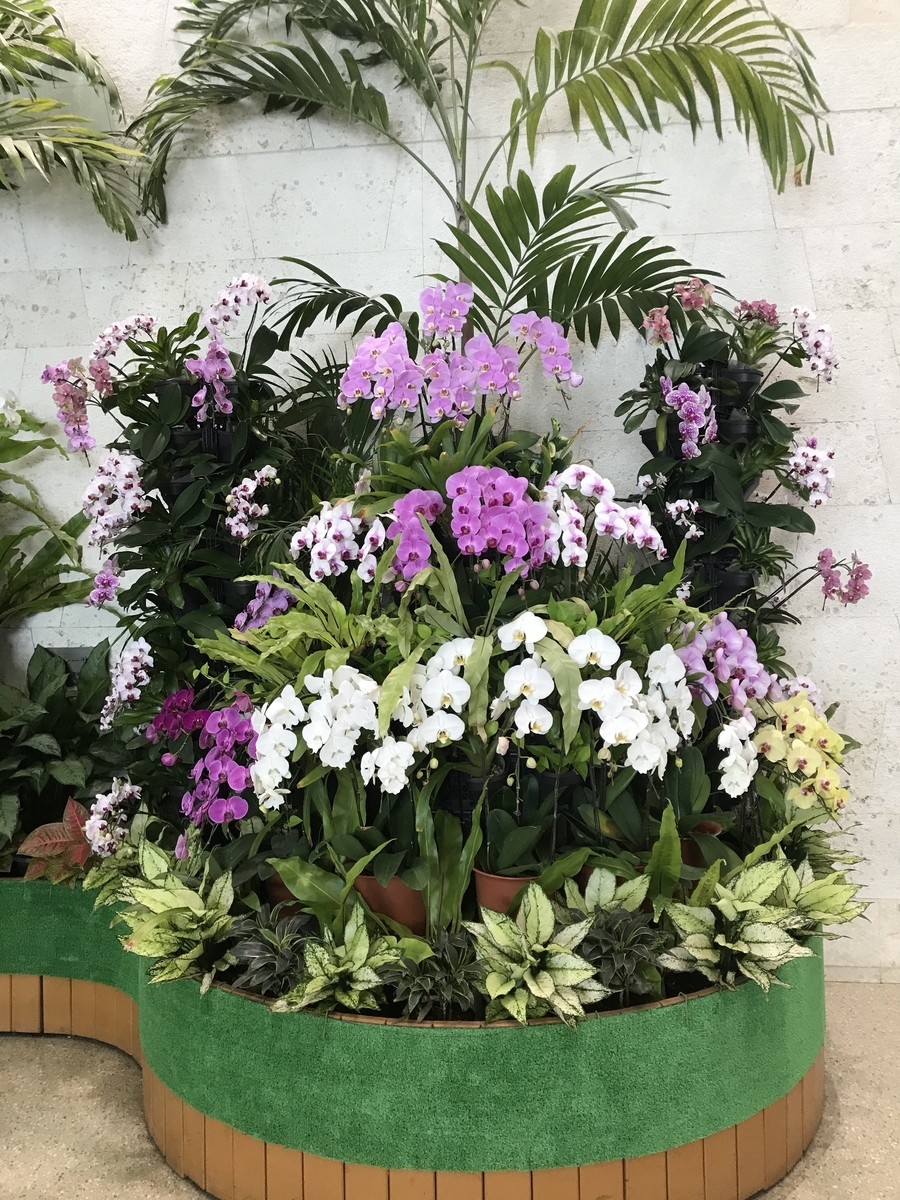 f:id:nicky-akira:20200308092355j:plain