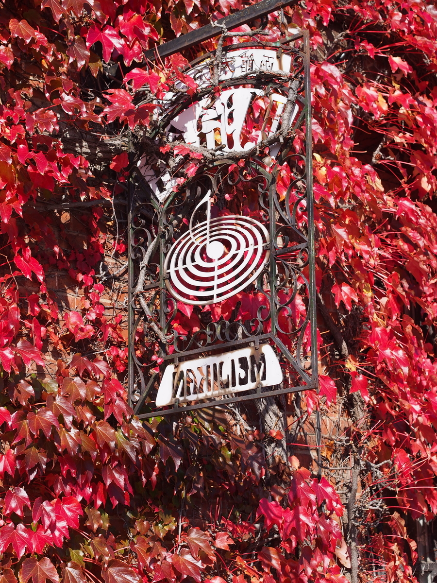 f:id:nicky-akira:20210201165127j:plain