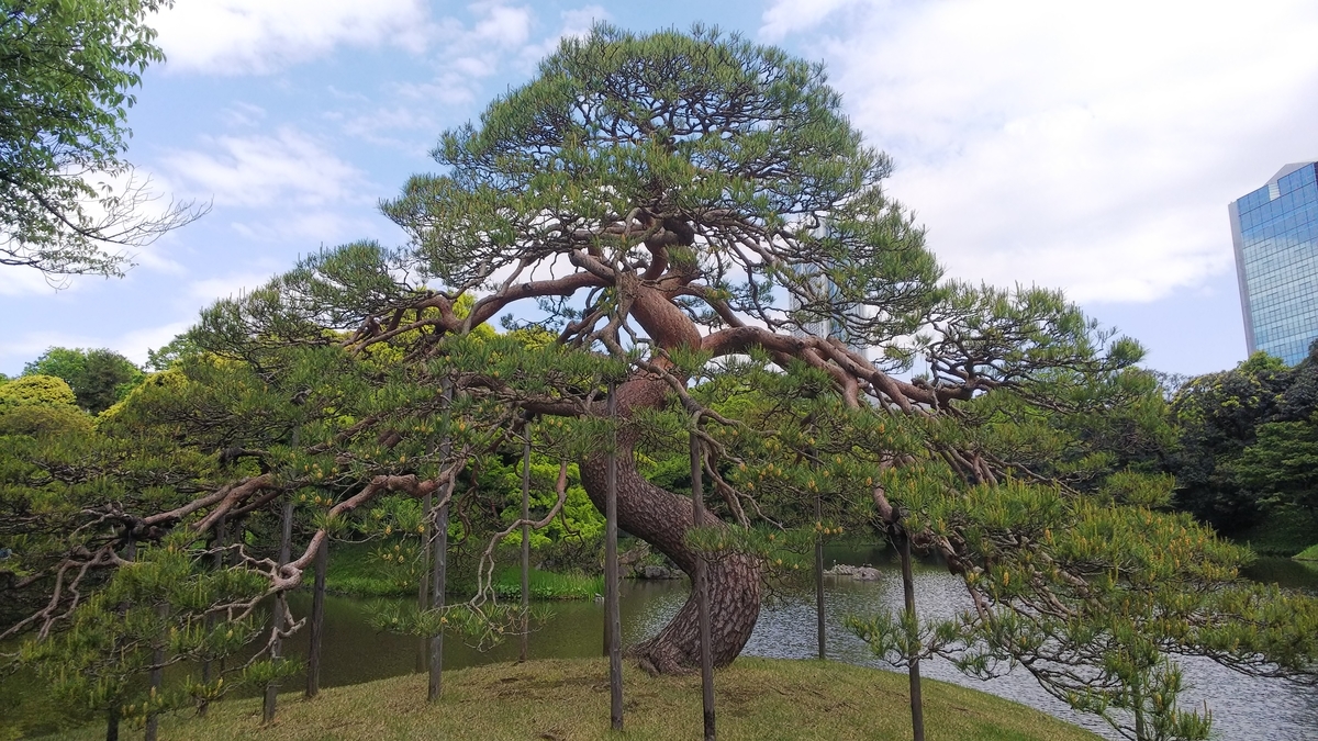f:id:nico-k:20190503220725j:plain