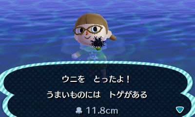 f:id:nico-psu:20121127011859j:image
