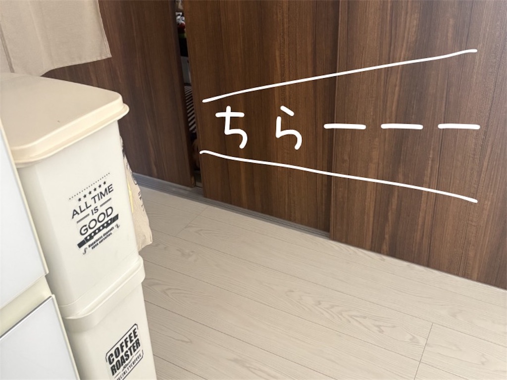 ドアの隙間から覗く子供