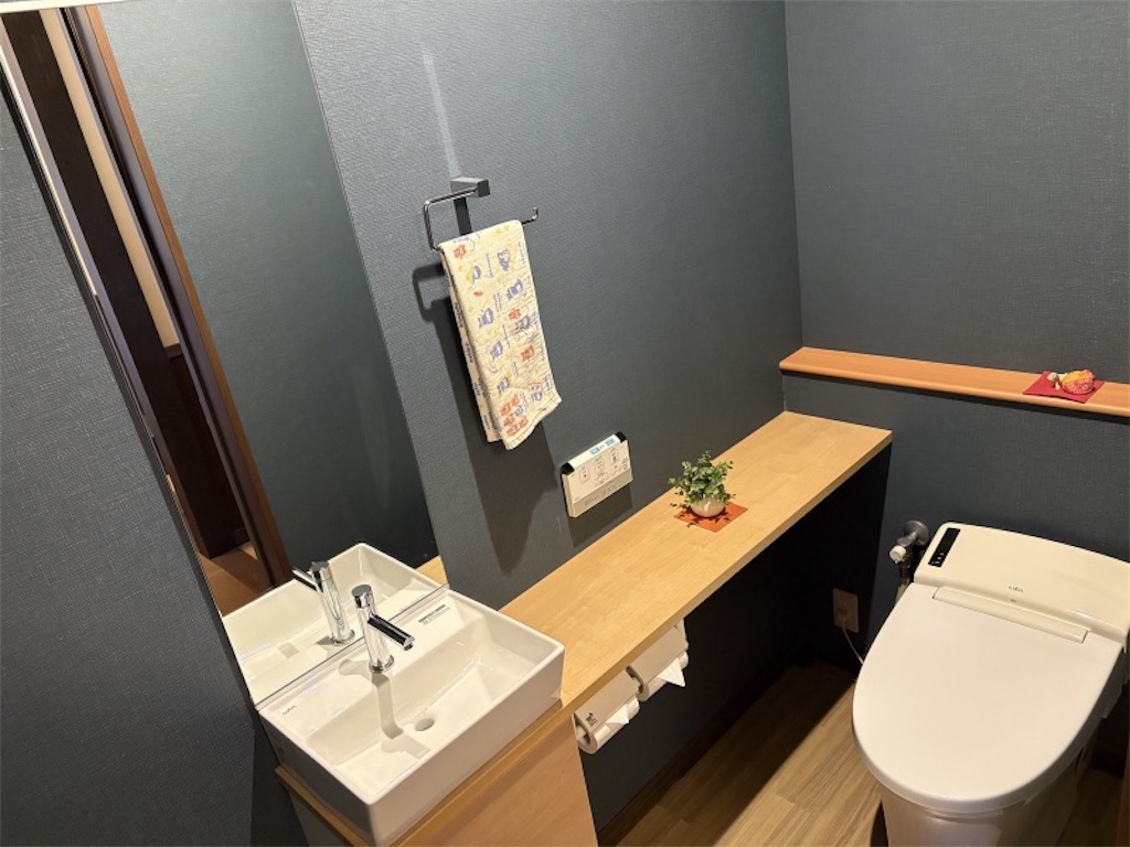 サウナ付きルーム内のきれいなトイレ