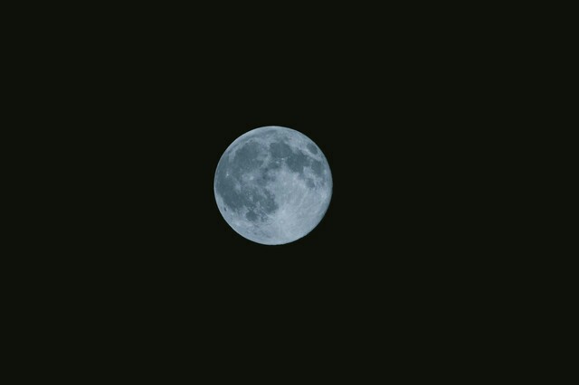 f:id:nico39:20170228154052j:image f:id:nico39:20170228154052j:image